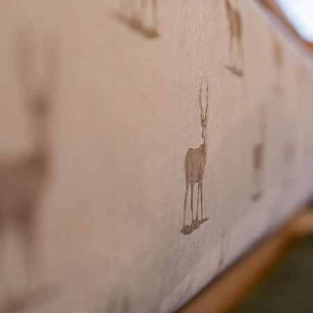 マイヤーホーフェン Holzknechthuetteヴィラ エクステリア 写真